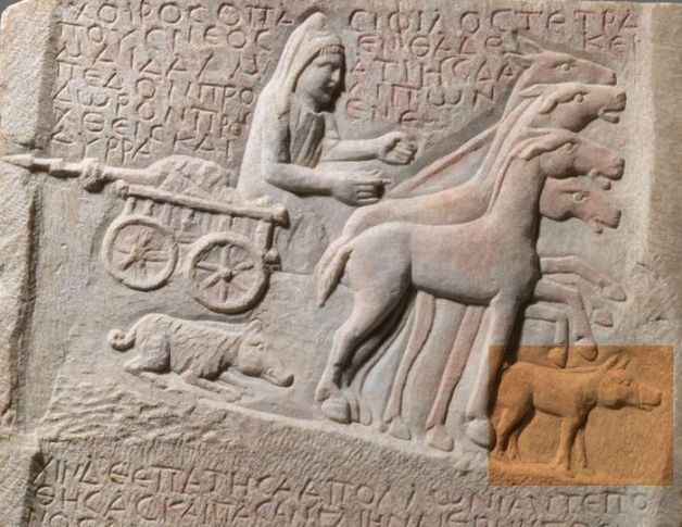 ΒΚΣ ΓΟΥΡΝΟΣ 5