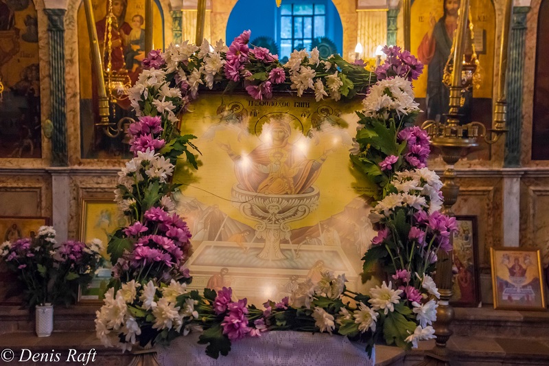 ΖΩΟΔ. ΠΗΓΗ 1Β