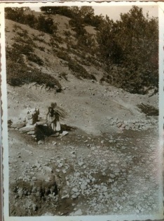 Vrisi_Limidarani_314