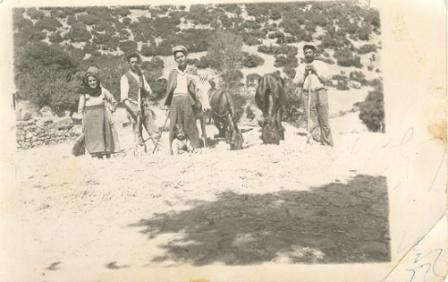 alonisma_tranivrisi_315