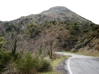 Artozinos_piso_pleyra