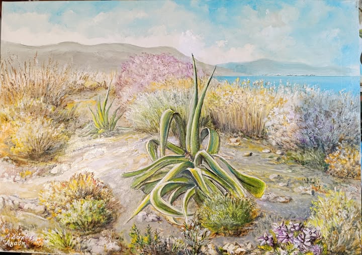 Άγριος κάκτος  Αγαύη