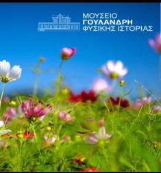 Μουσείο Γουλανδρη